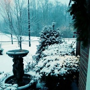 Meet your Posher, Monta